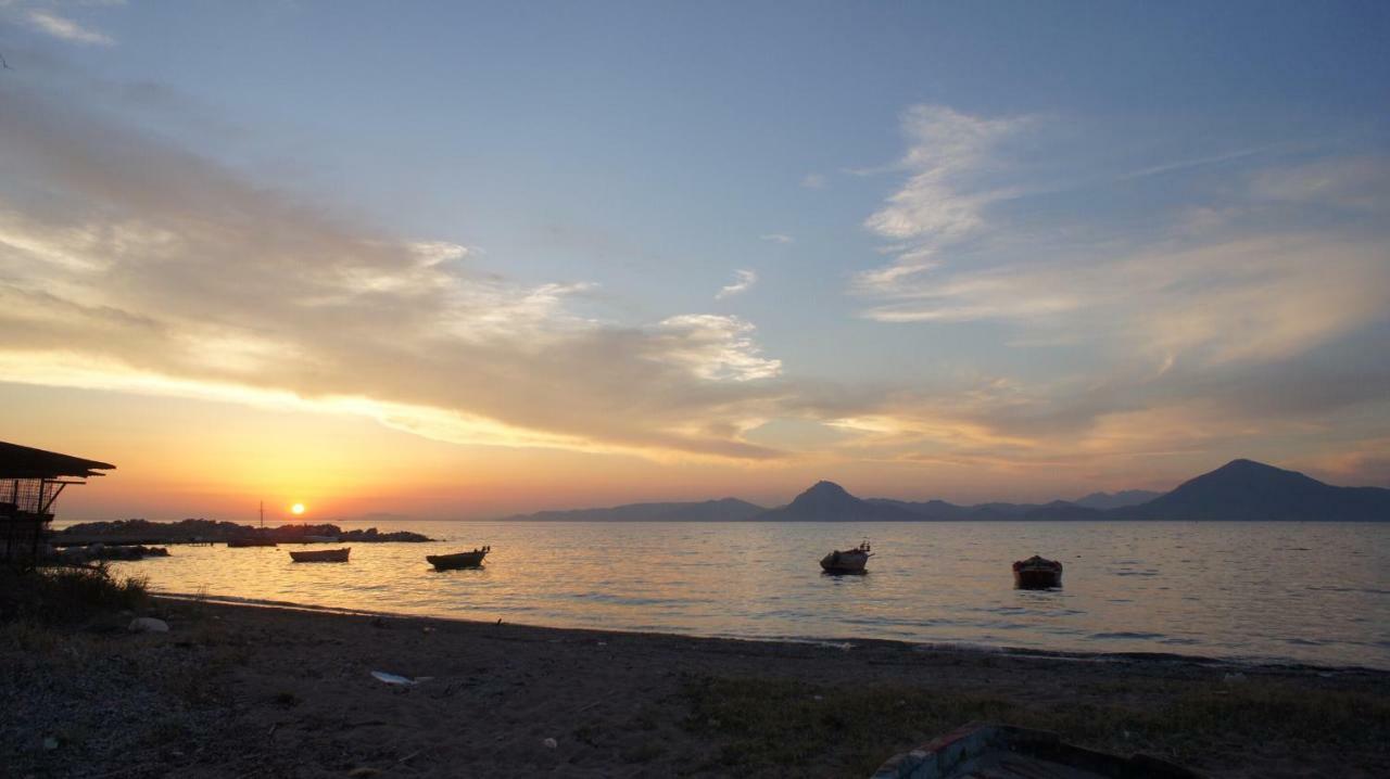 Patras Cozy Lodge Zewnętrze zdjęcie